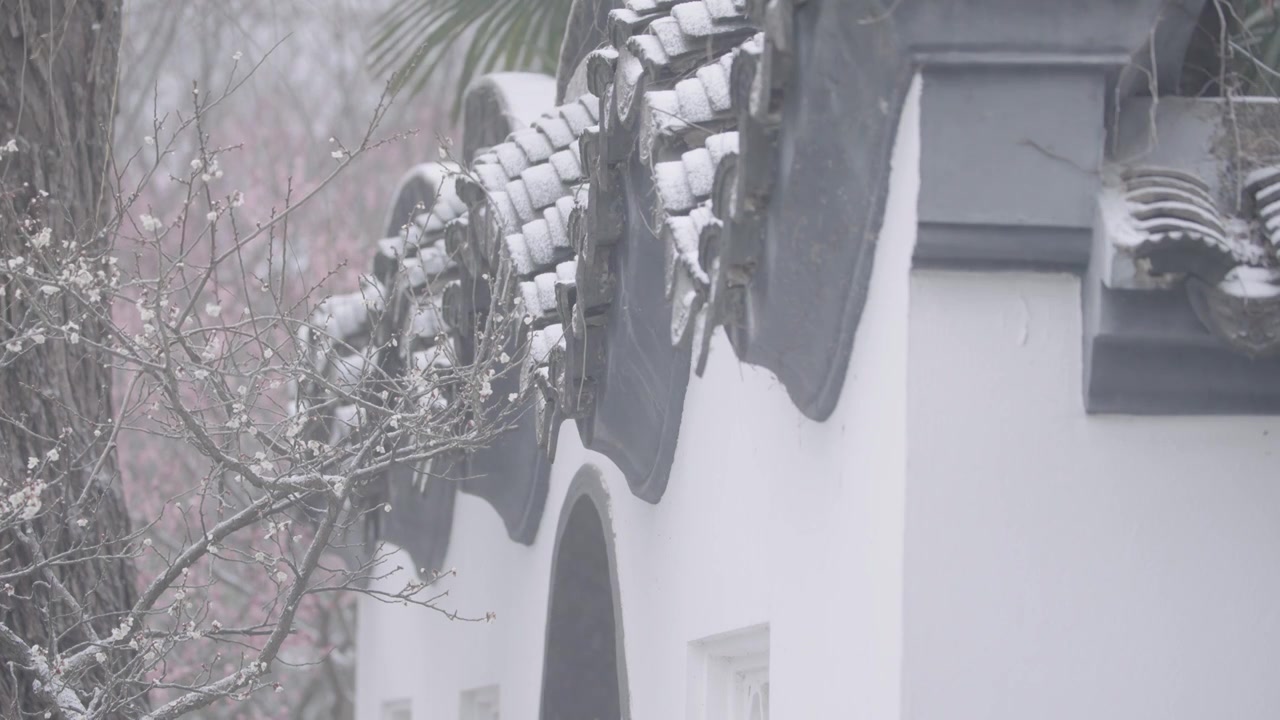 南京梅花山，梅花，博爱阁，雪中梅花山，神道，明孝陵，下雪，红楼，雪中明孝陵视频素材