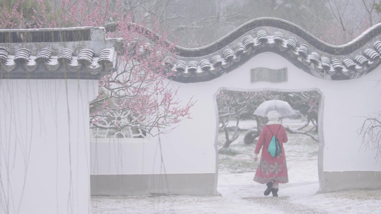 南京梅花山，梅花，博爱阁，雪中梅花山，神道，明孝陵，下雪，红楼，雪中明孝陵视频素材