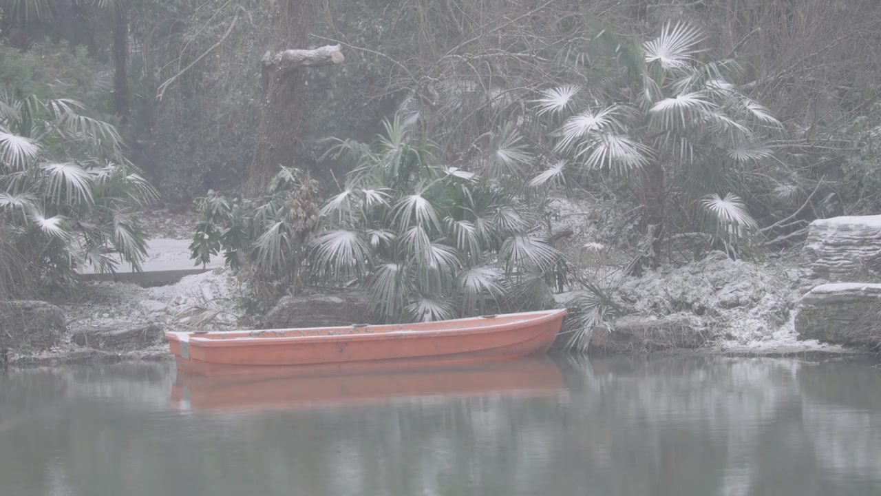 南京梅花山，梅花，博爱阁，雪中梅花山，神道，明孝陵，下雪，红楼，雪中明孝陵视频素材