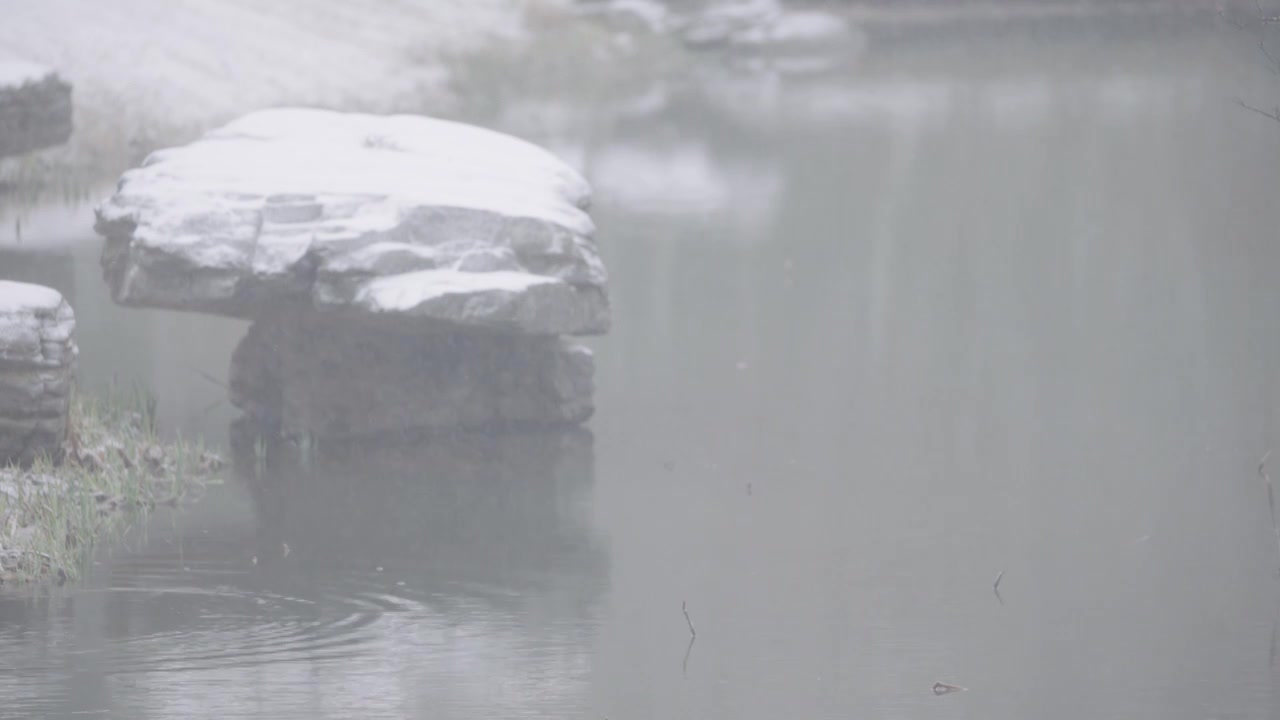 南京梅花山，梅花，博爱阁，雪中梅花山，神道，明孝陵，下雪，红楼，雪中明孝陵视频素材