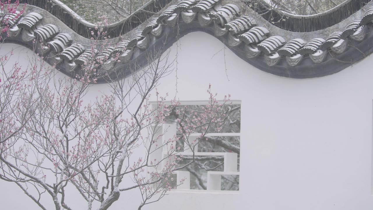 南京梅花山，梅花，博爱阁，雪中梅花山，神道，明孝陵，下雪，红楼，雪中明孝陵视频素材