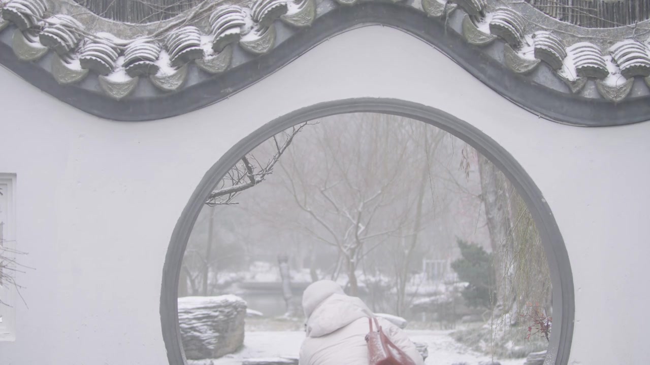 南京梅花山，梅花，博爱阁，雪中梅花山，神道，明孝陵，下雪，红楼，雪中明孝陵视频素材