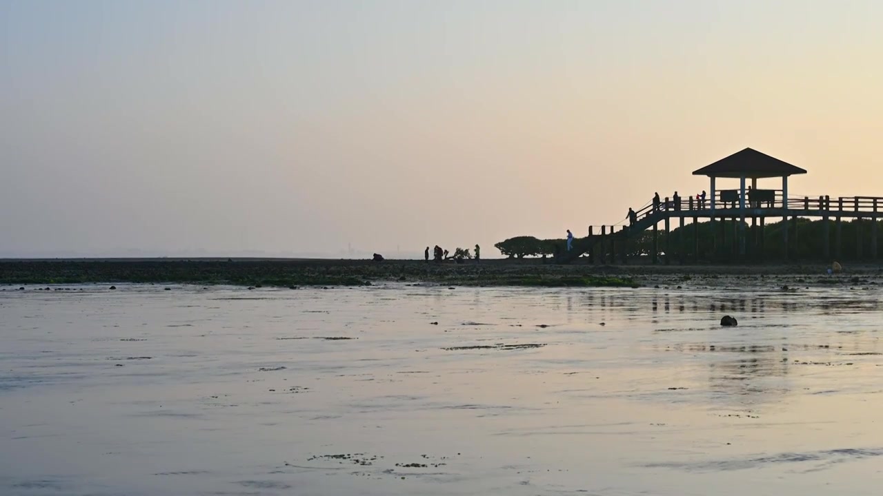 夕阳下海边退潮后滩涂与亭子剪影视频素材