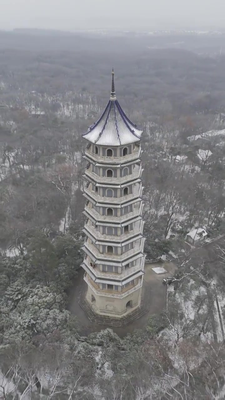 南京灵谷寺雪景视频素材