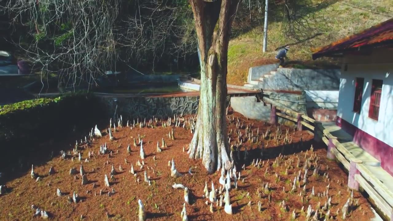 蕉岭县佛根，皇佑笔航拍视频素材