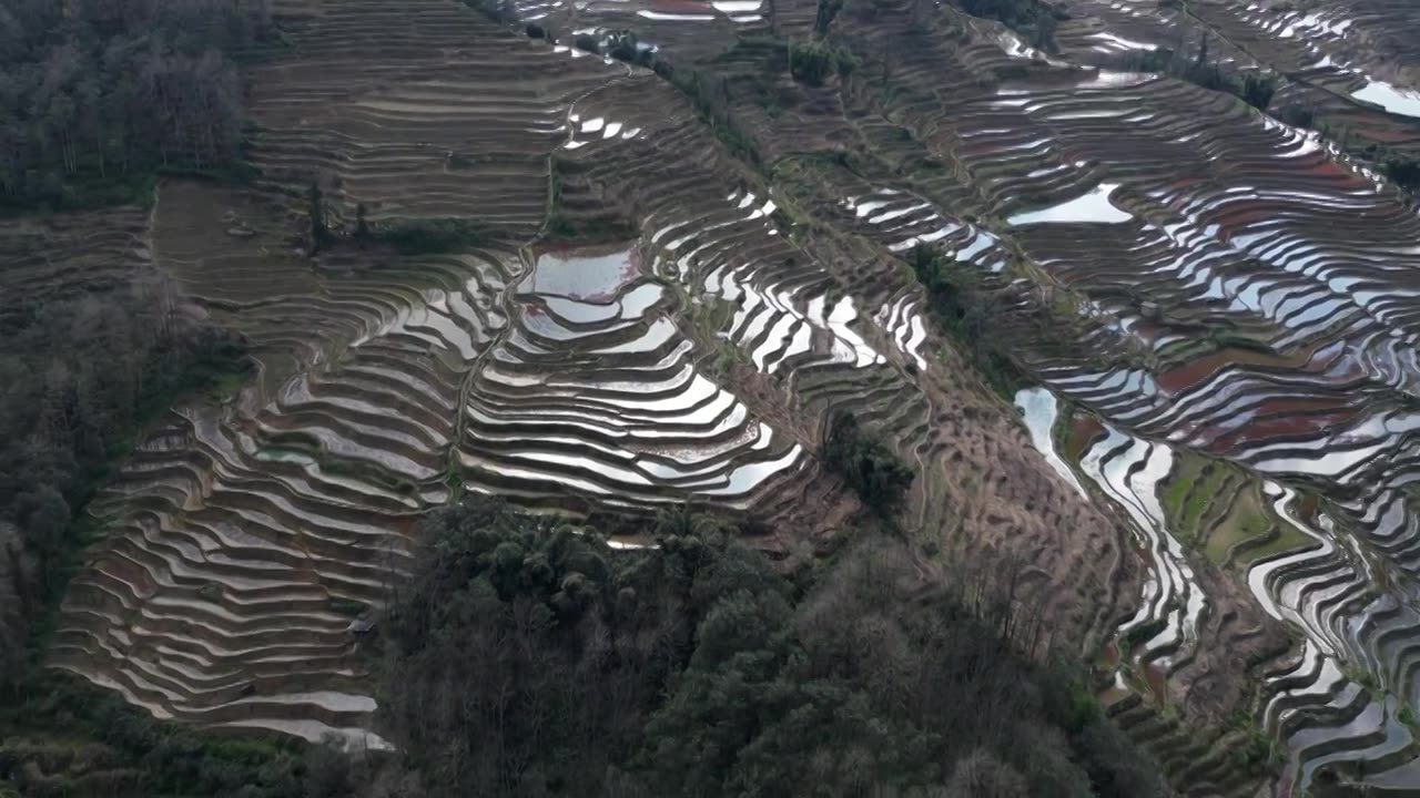 航拍冬日的元阳梯田视频素材