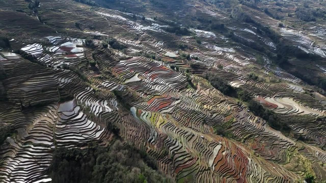 航拍冬日的元阳梯田视频素材