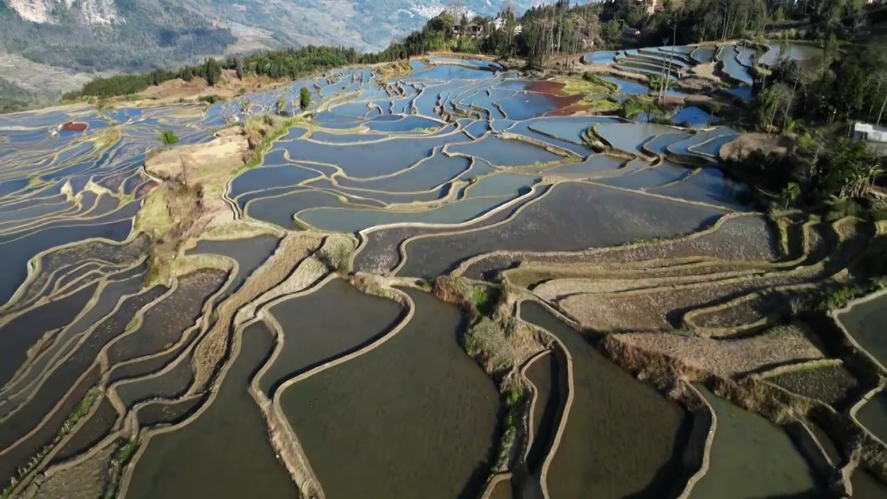 航拍冬日的元阳梯田视频素材