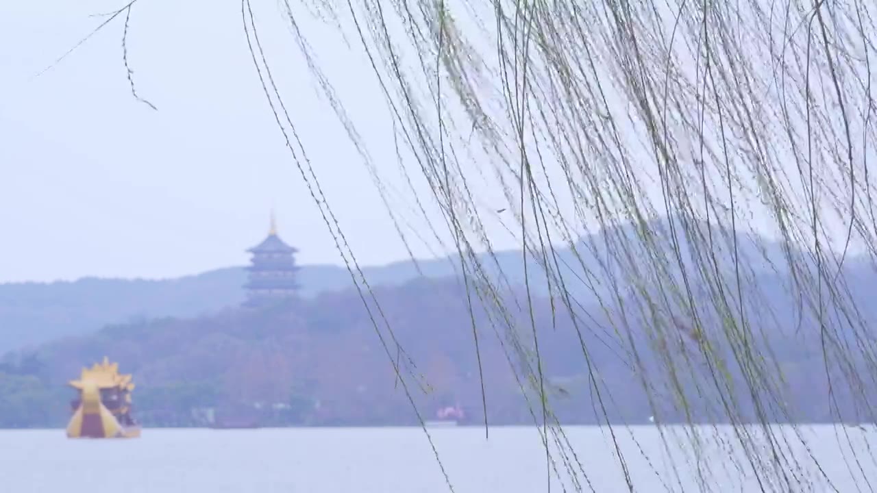 杭州西湖春天发芽柳树柳条自然风景雨雷峰塔视频素材