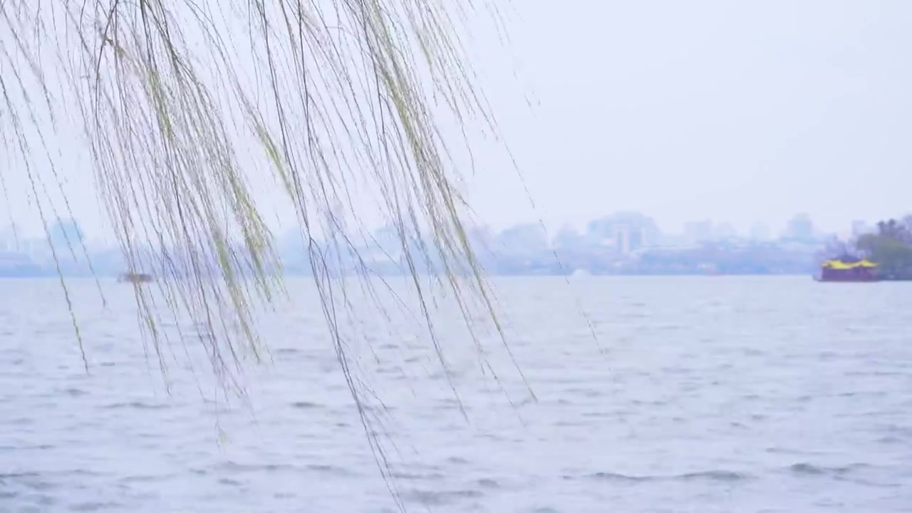 杭州西湖春天发芽柳树柳条自然风景雨雷峰塔视频素材