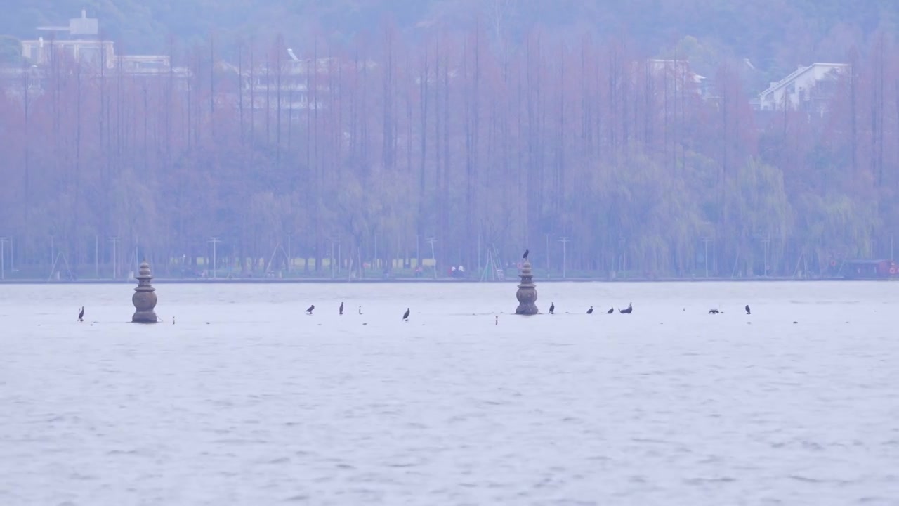 杭州西湖三潭印月风景视频素材