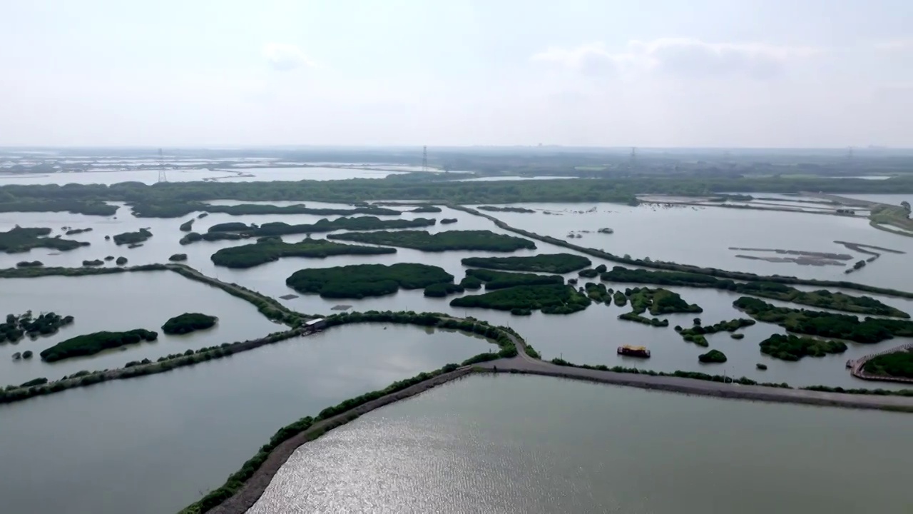 广东省湛江市湛江红树林国家级自然保护区航拍视频素材