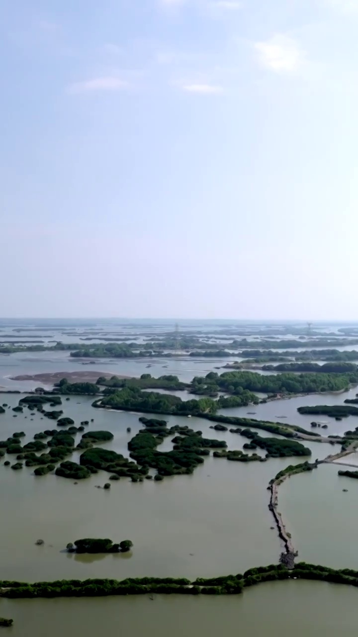 广东省湛江市湛江红树林国家级自然保护区航拍视频素材