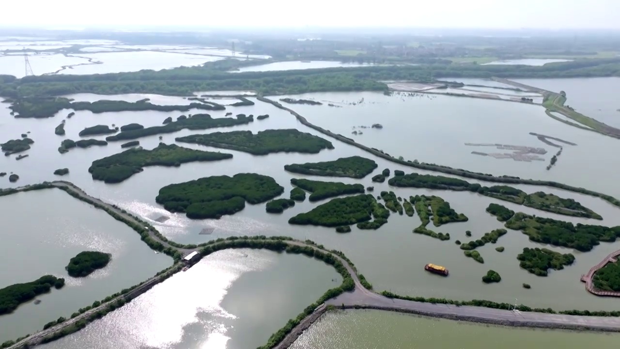 广东省湛江市湛江红树林国家级自然保护区航拍视频素材