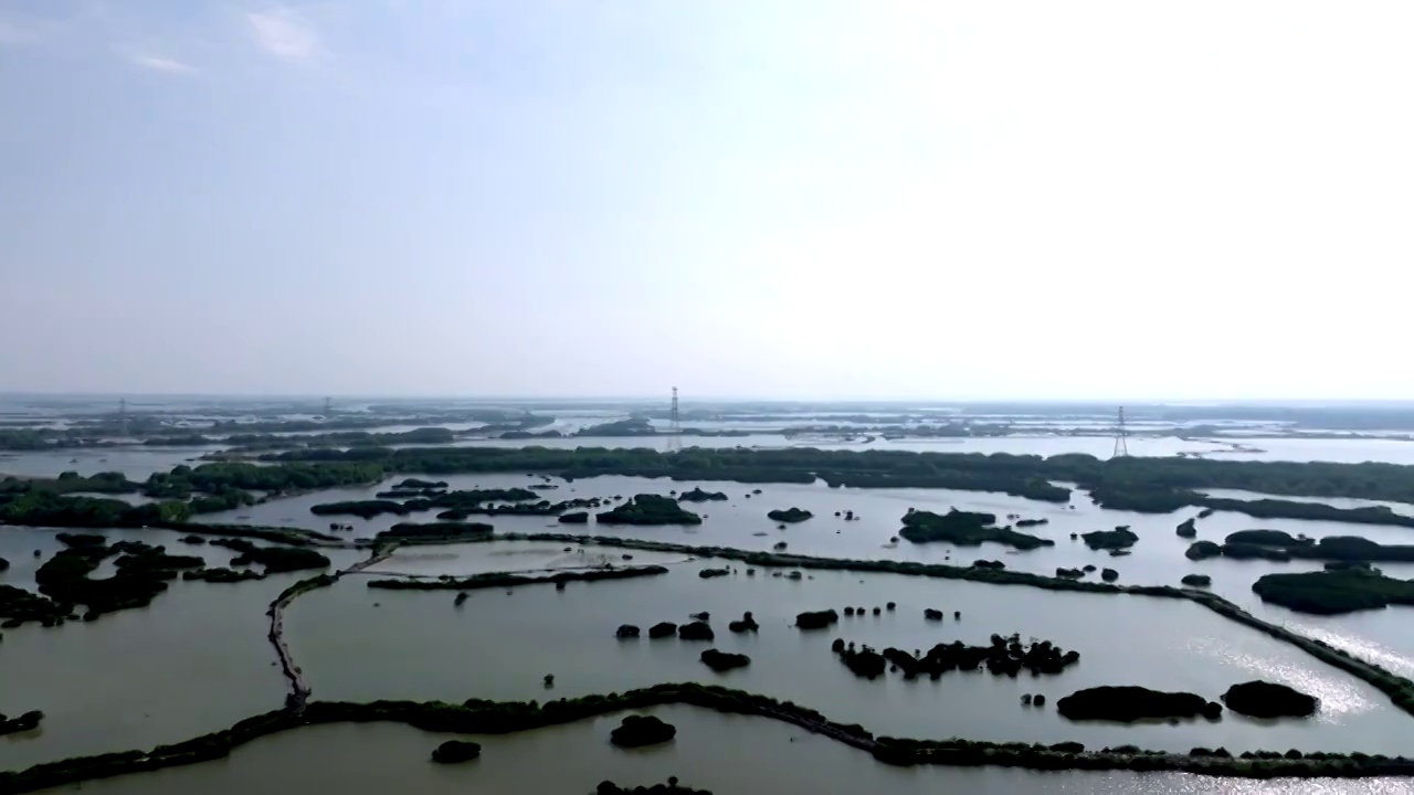 广东省湛江市湛江红树林国家级自然保护区航拍视频素材