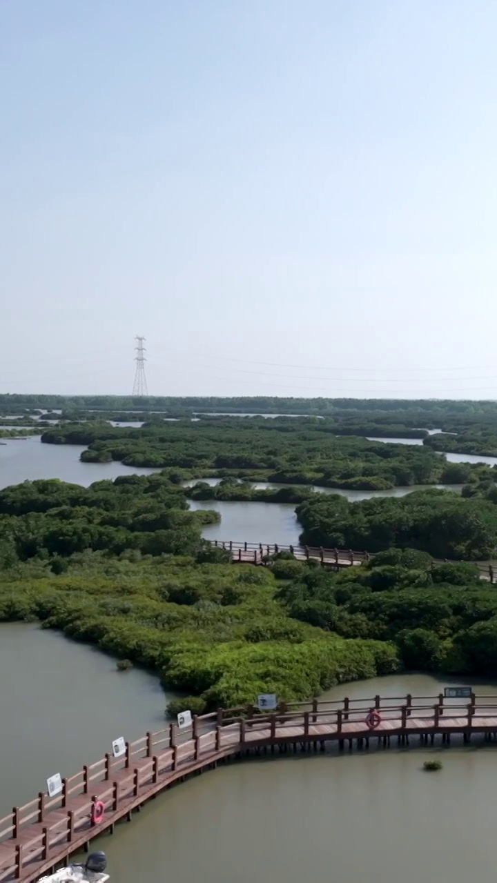 广东省湛江市湛江红树林国家级自然保护区航拍视频素材