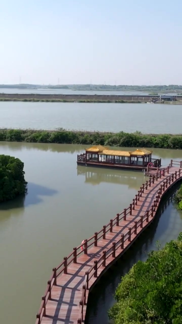 广东省湛江市湛江红树林国家级自然保护区航拍视频素材