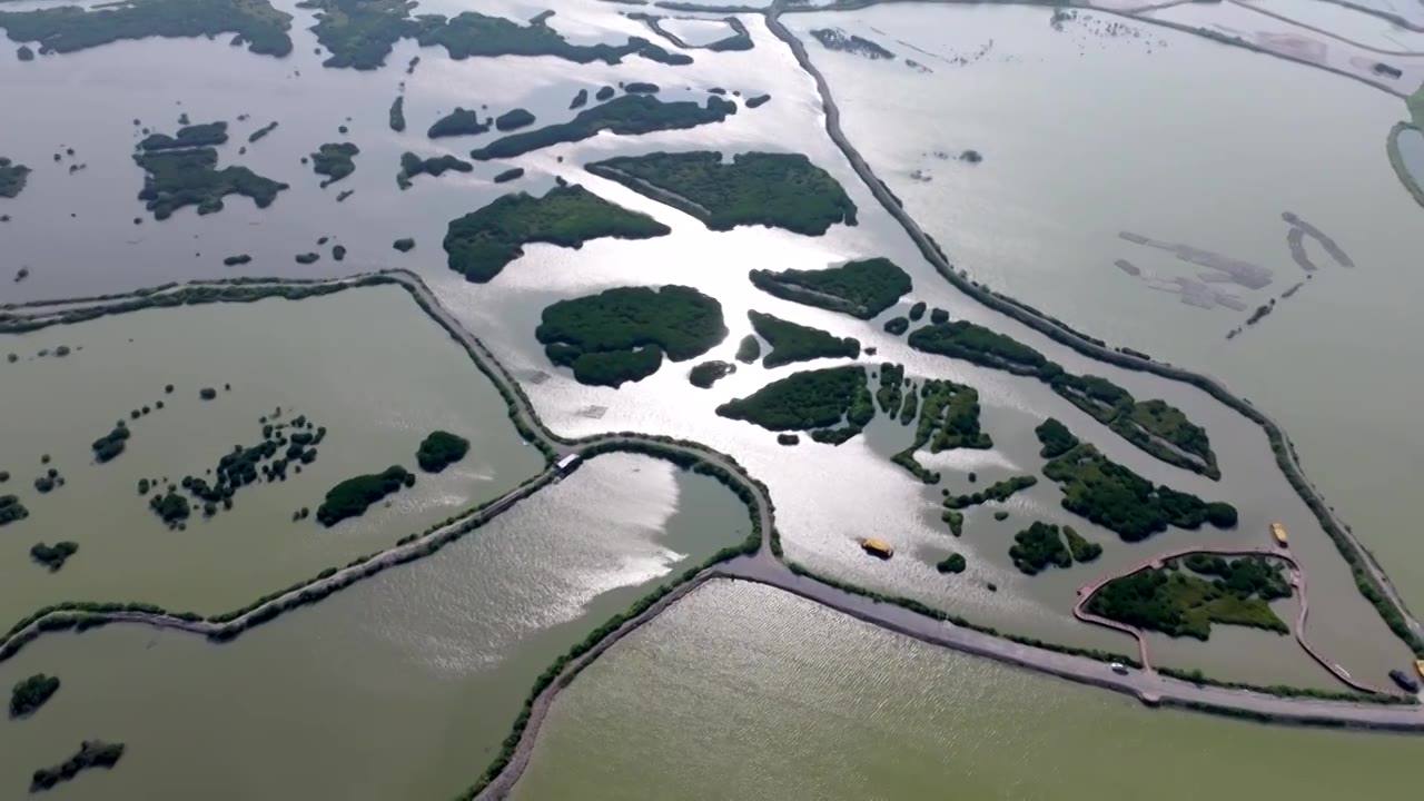 广东省湛江市湛江红树林国家级自然保护区航拍视频素材