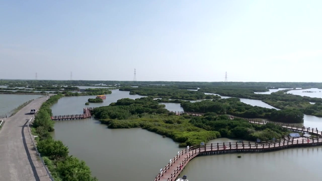 广东省湛江市湛江红树林国家级自然保护区航拍视频素材