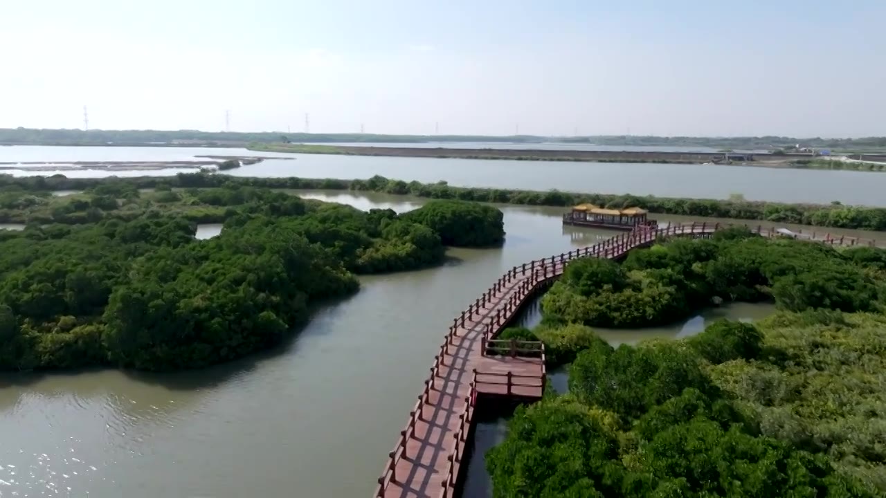 广东省湛江市湛江红树林国家级自然保护区航拍视频素材