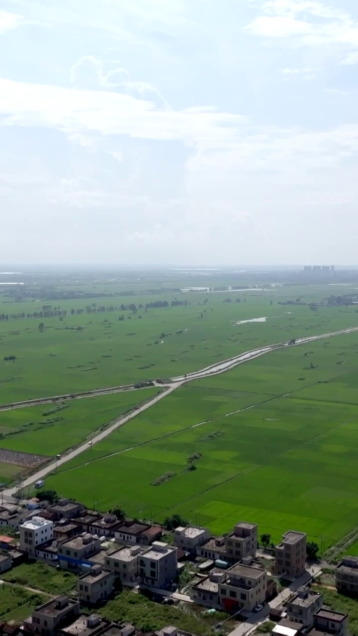 广东湛江雷州城乡结合部河北村上空航拍稻田视角视频素材