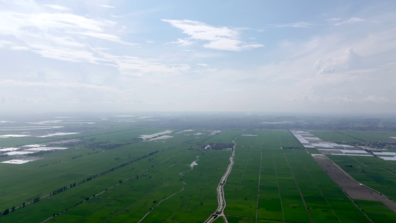 广东湛江雷州城乡结合部河北村上空航拍稻田视角视频素材