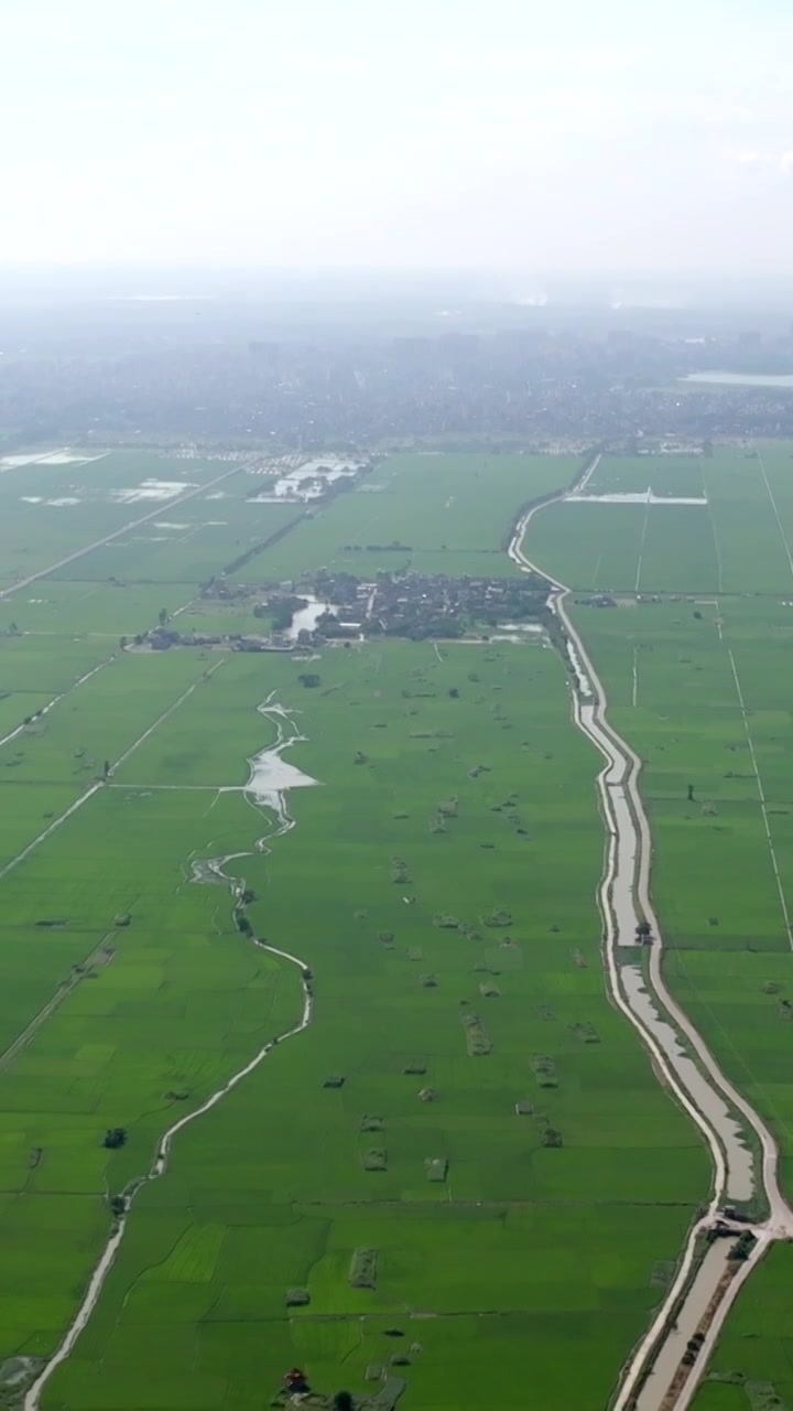 广东湛江雷州城乡结合部河北村上空航拍稻田视角视频素材