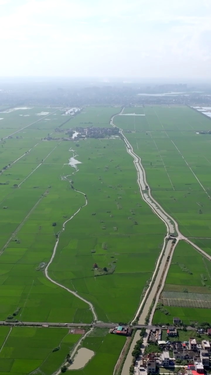 广东湛江雷州城乡结合部河北村上空航拍稻田视角视频素材