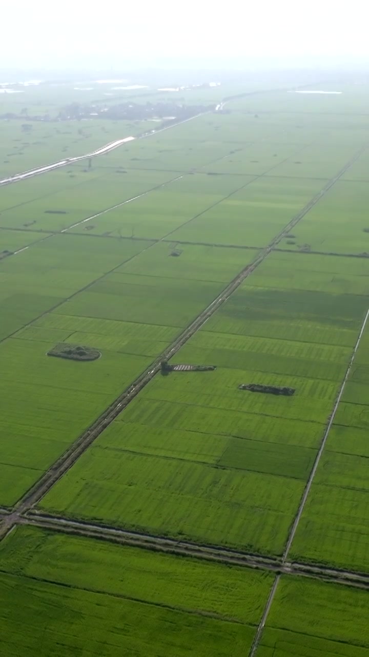 广东湛江雷州城乡结合部河北村上空航拍稻田视角视频素材