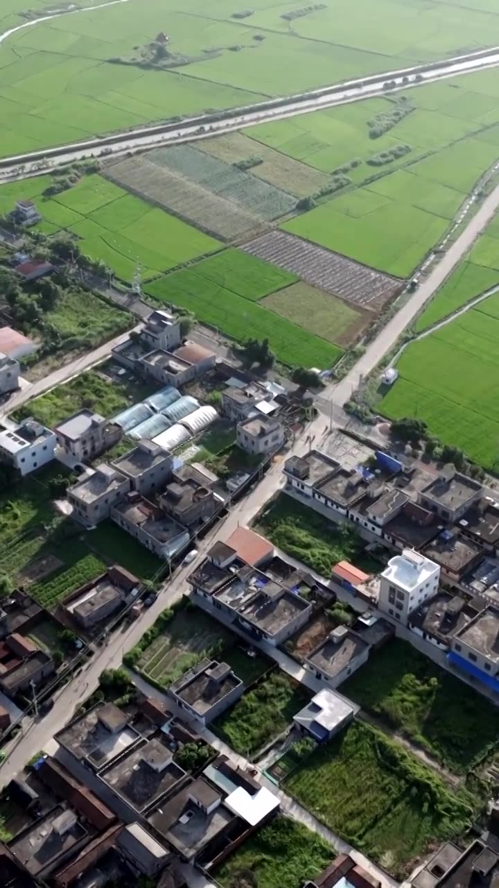 广东湛江雷州城乡结合部河北村上空航拍稻田视角视频素材