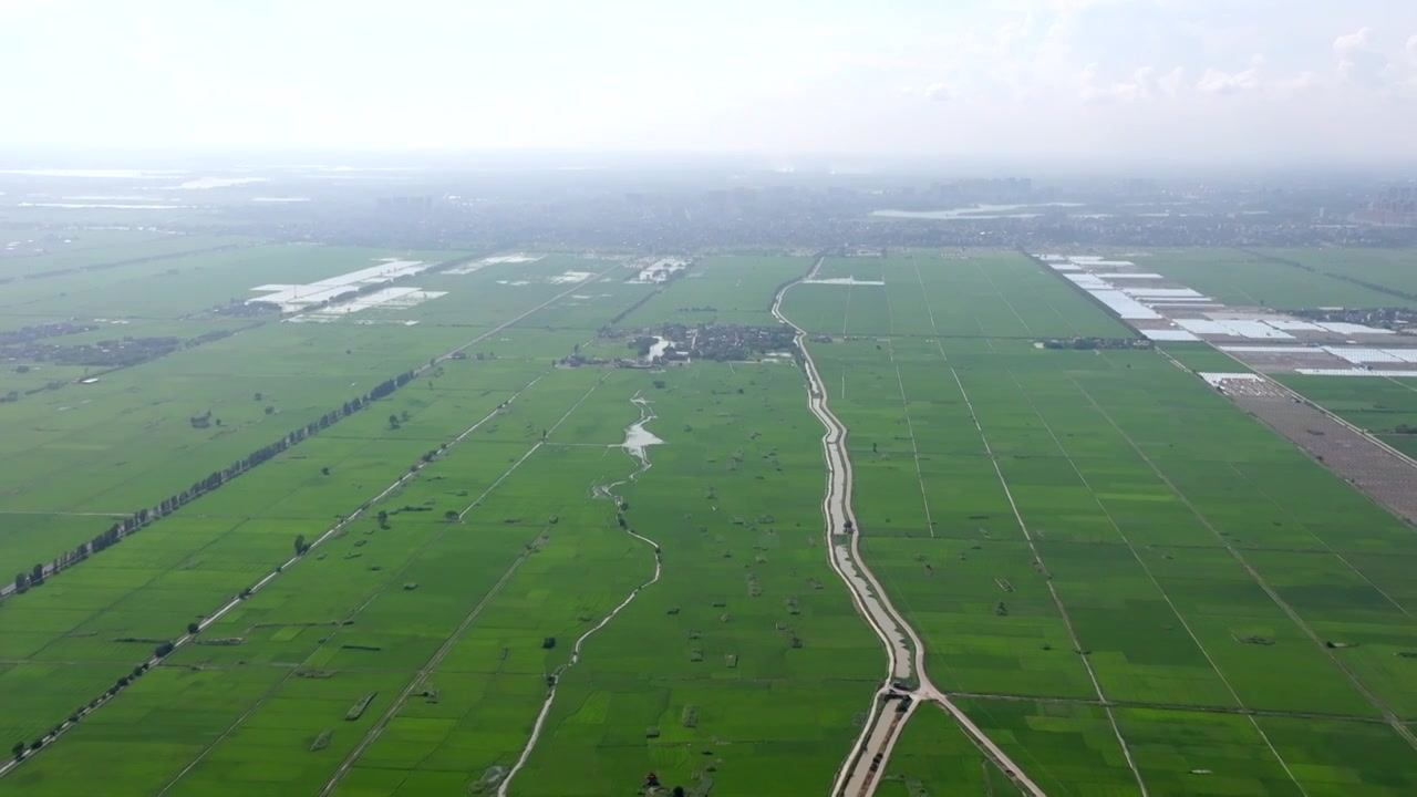 广东湛江雷州城乡结合部河北村上空航拍稻田视角视频素材