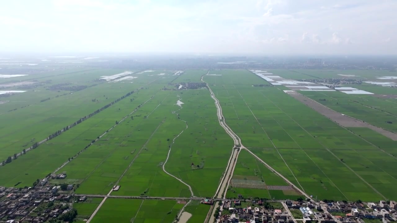 广东湛江雷州城乡结合部河北村上空航拍稻田视角视频素材