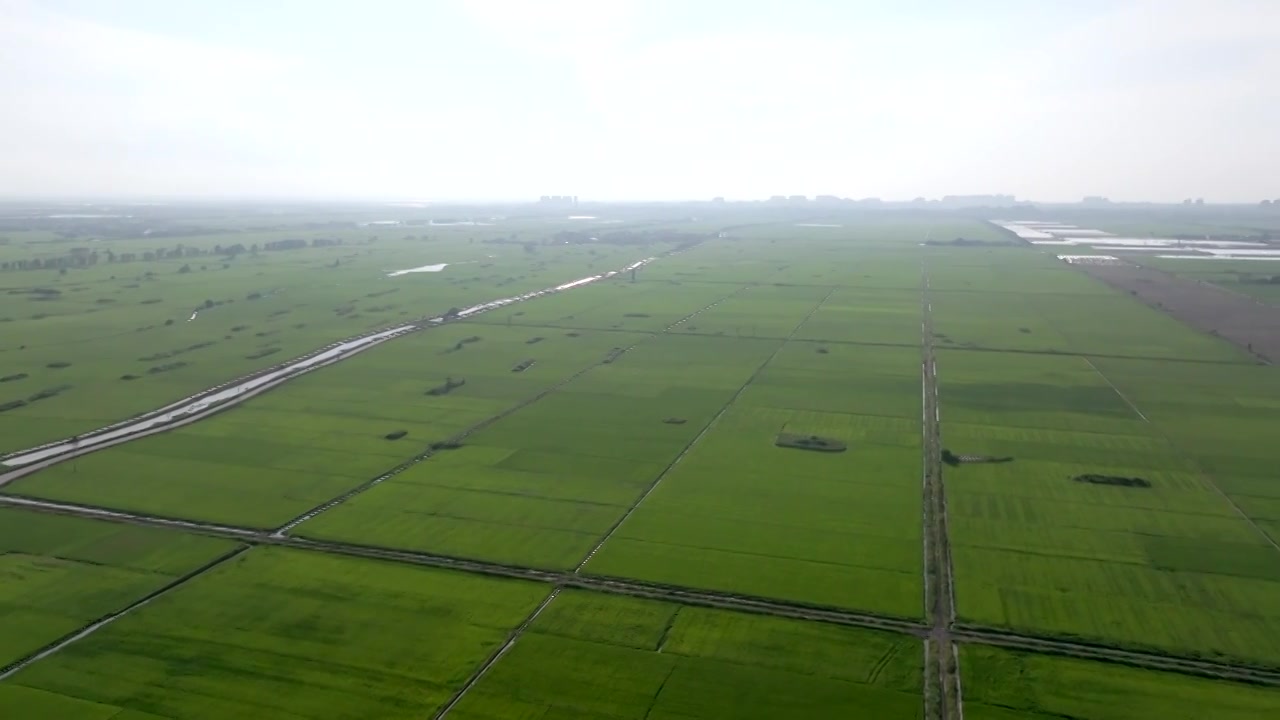 广东湛江雷州城乡结合部河北村上空航拍稻田视角视频素材