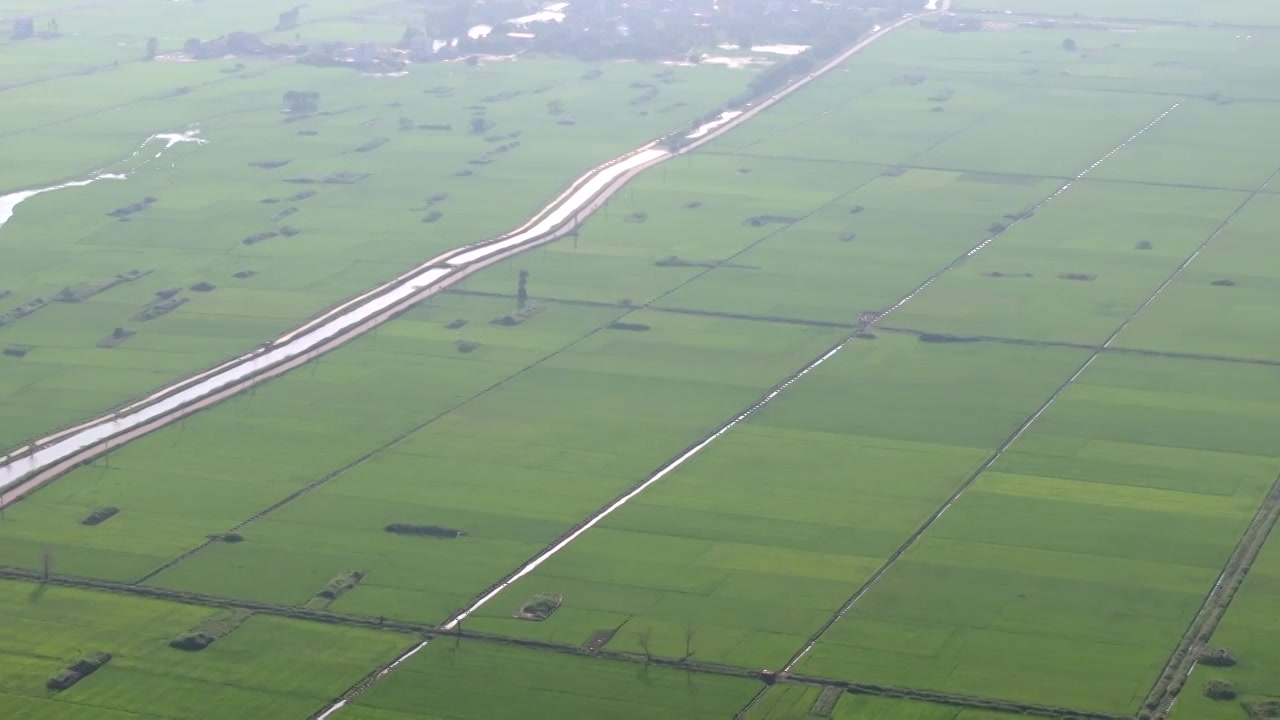 广东湛江雷州城乡结合部河北村上空航拍稻田视角视频素材