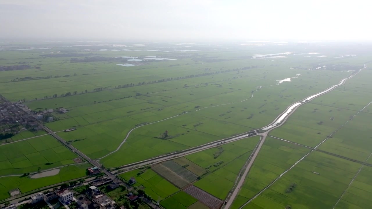 广东湛江雷州城乡结合部河北村上空航拍稻田视角视频素材