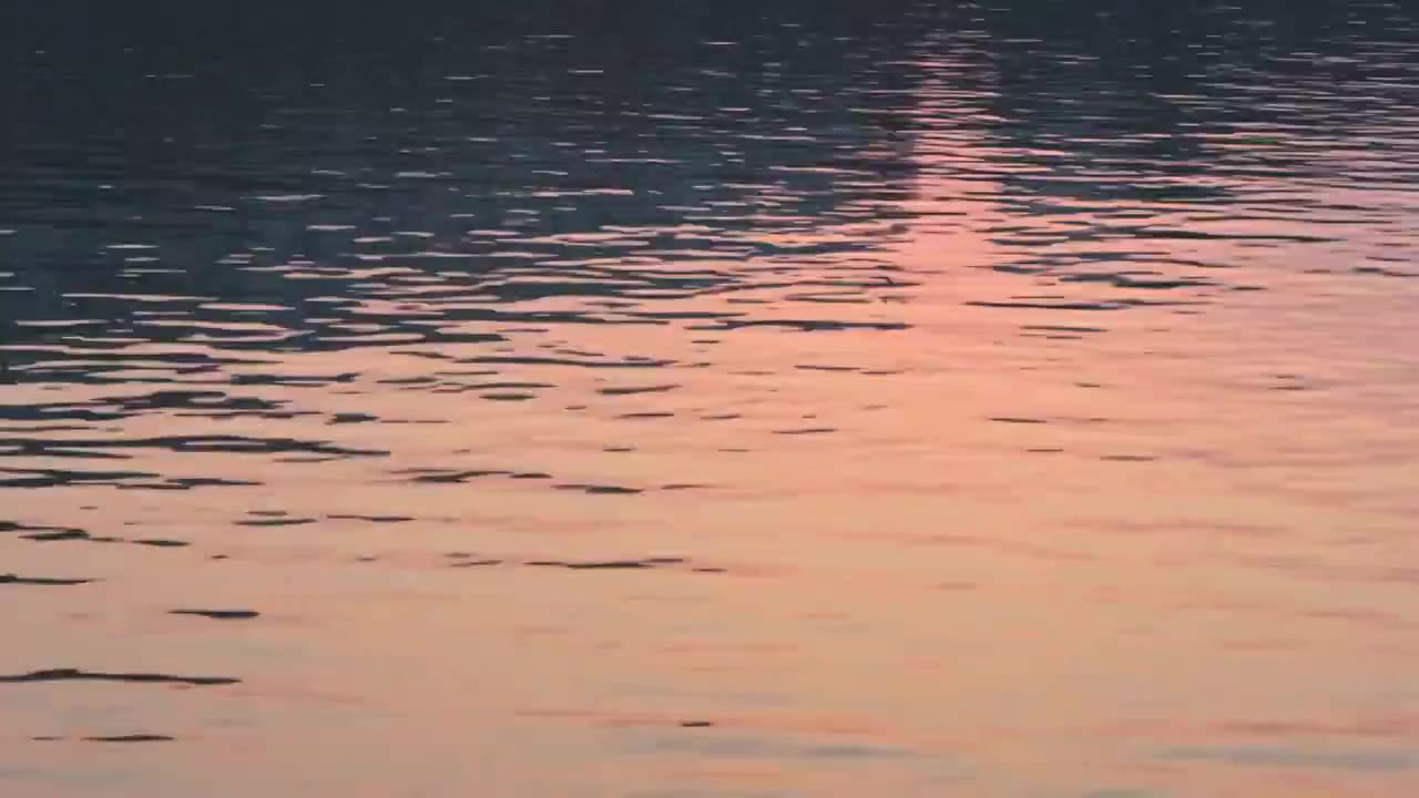 夕阳时分公园湖泊水面阳光的橙黄色倒影和水面波纹视频素材