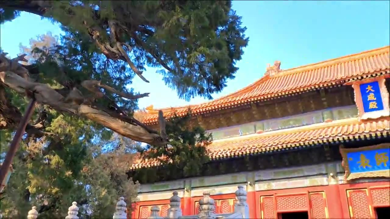 北京孔庙和国子监博物馆古建筑视频素材