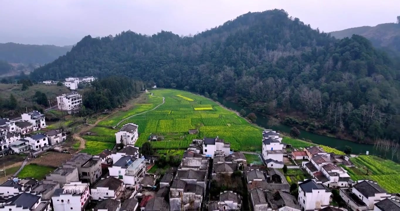 江西婺源思溪延村油菜花航拍视频素材