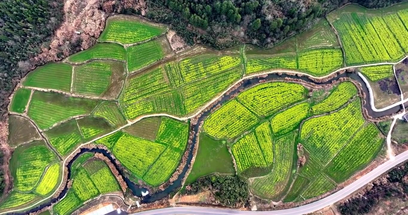 江西婺源思溪延村油菜花航拍视频素材