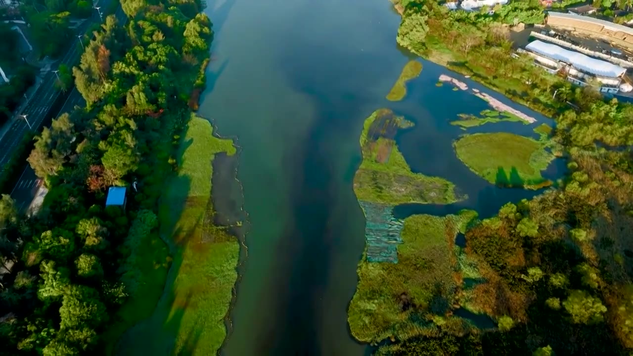 航拍广东省深圳市南山区华侨城国家湿地公园视频素材