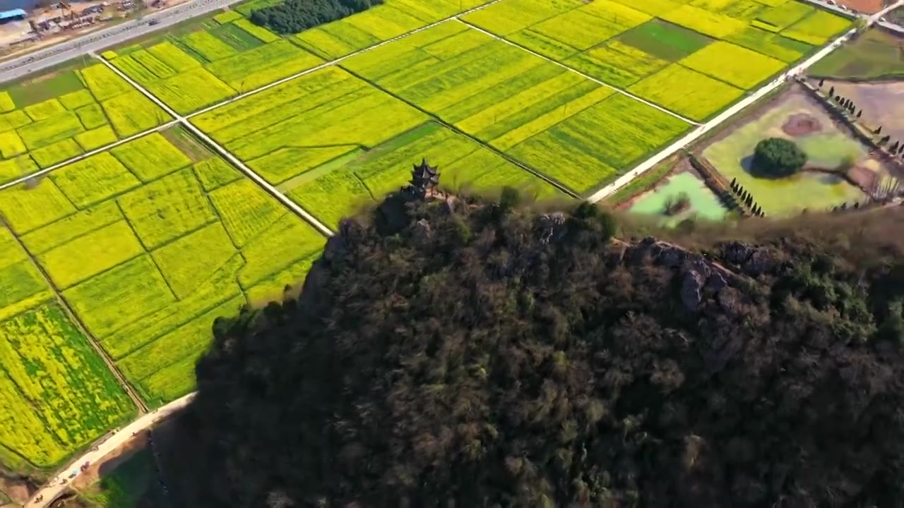 宣城市泾县狮子山油菜花中国宣纸博物馆视频素材