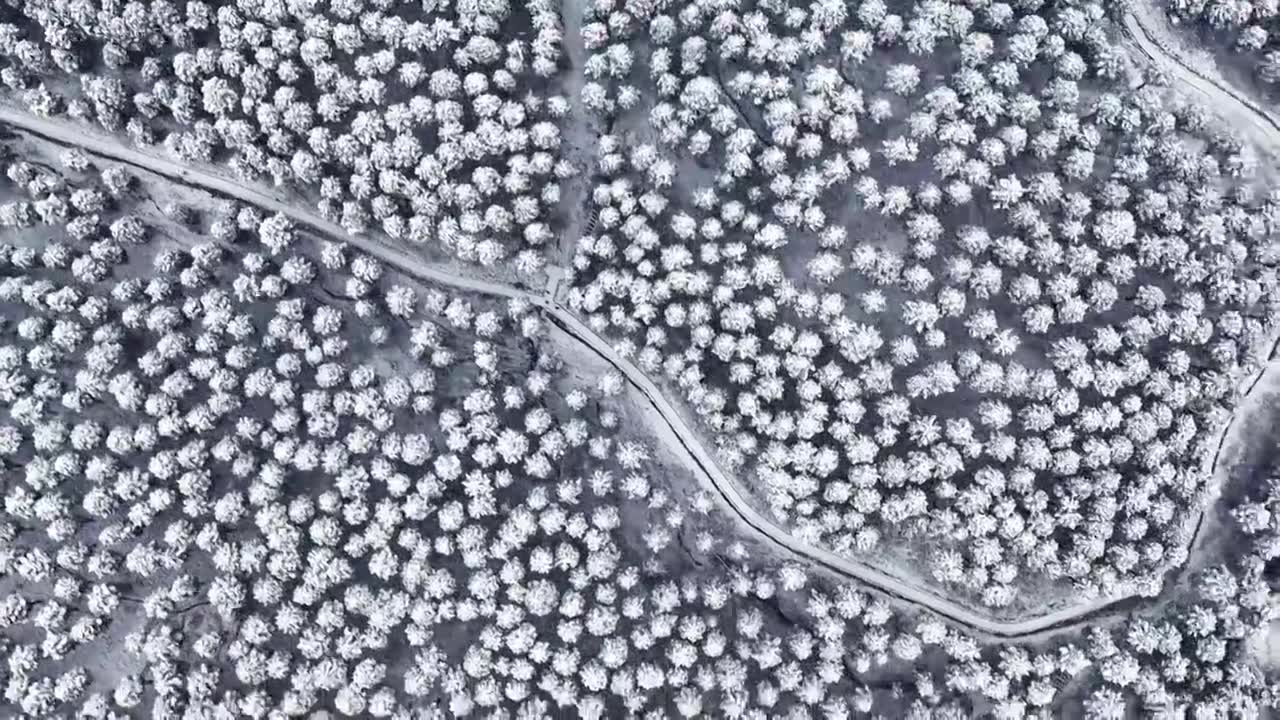 成都中坝冬季下雪森林视频素材