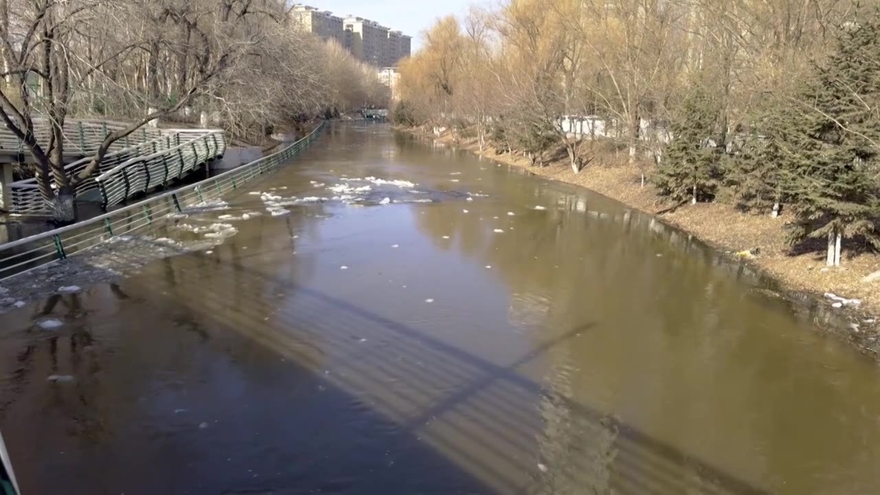 哈尔滨 马家沟河 河流 春天视频素材