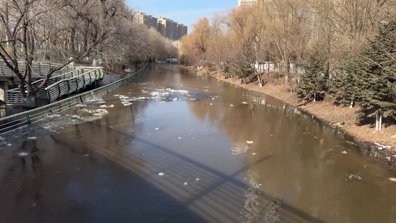 哈尔滨 马家沟河 河流 春天视频素材