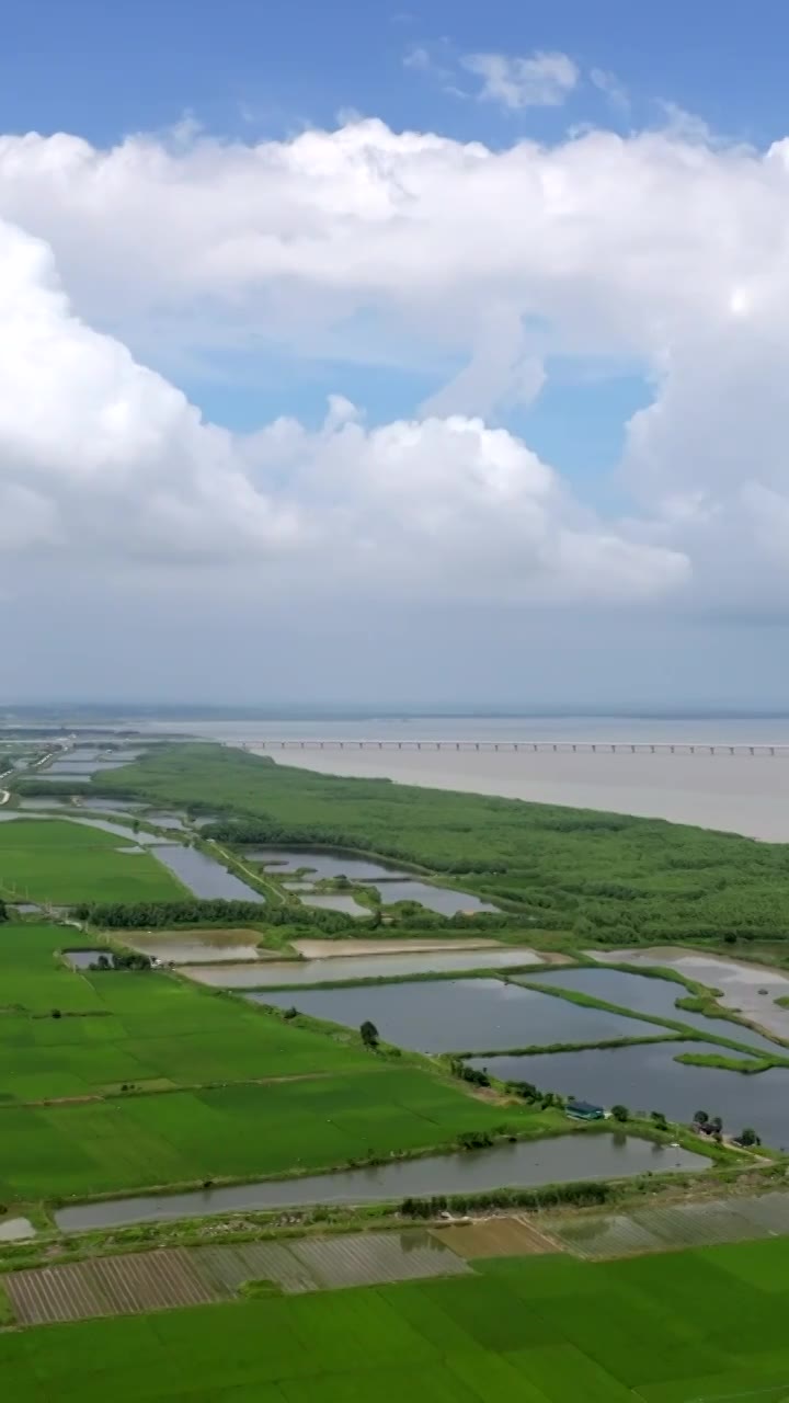 广东湛江雷州城乡结合部河北村上空航拍稻田视角视频素材