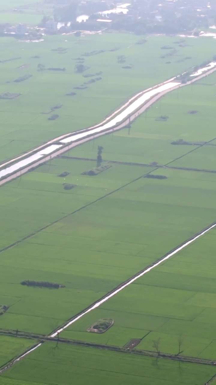 广东湛江雷州城乡结合部河北村上空航拍稻田视角视频素材