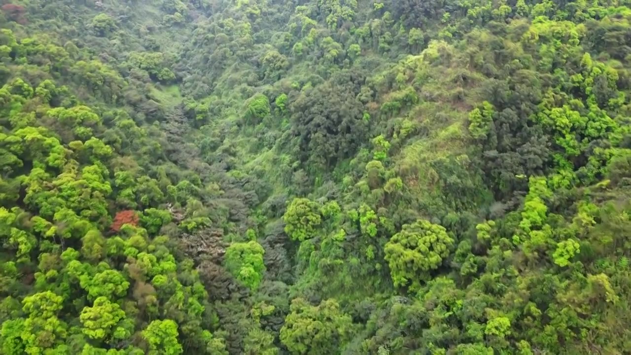 佛山南丹山视频素材