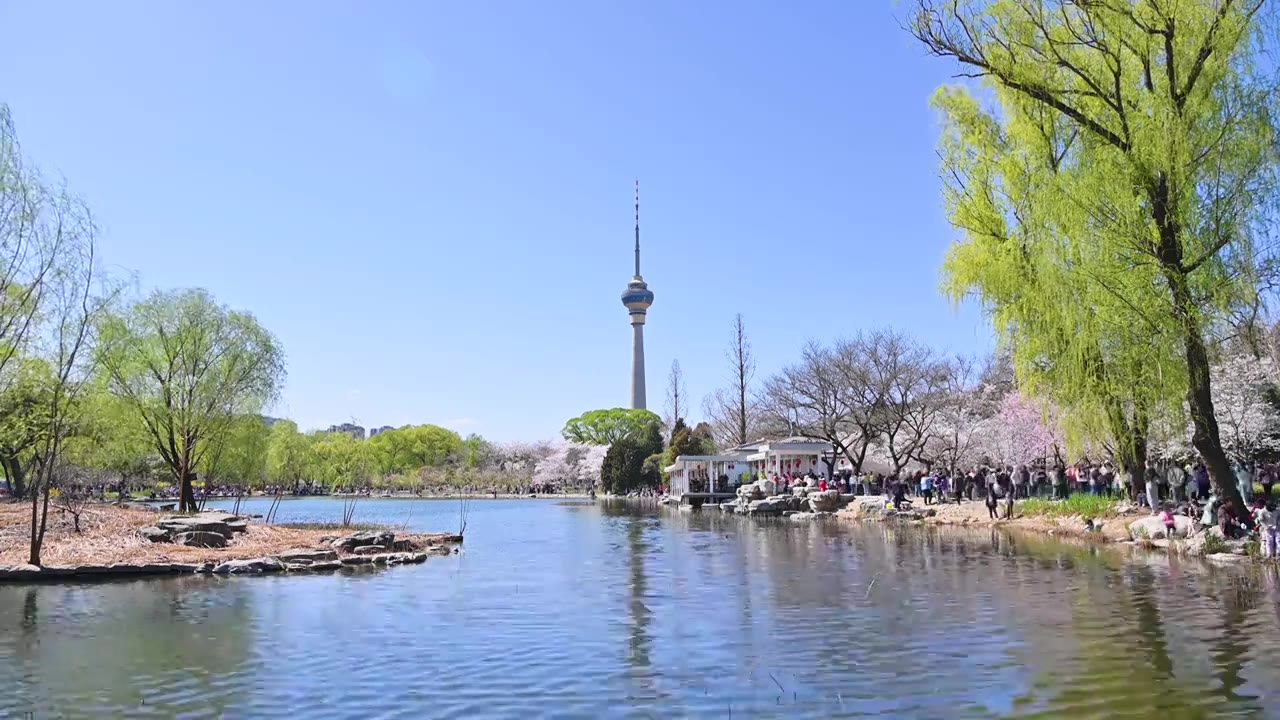 北京春天玉渊潭公园湖面蓝天柳树风光视频素材