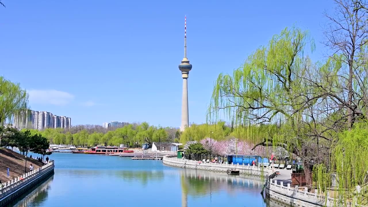 北京春天玉渊潭公园湖面蓝天柳树风光视频素材