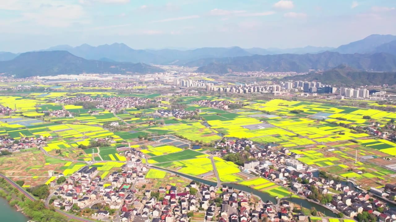 杭州富阳富春江边包家淇村春天乡村田园油菜花自然清新治愈风景视频素材